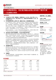 创业慧康点评报告:Q1业绩短期承压,经济复苏叠加政策支持背景下复苏可期