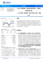 2022年报及2023一季报点评2023Q1业绩亮眼，盈利能力稳步提升，长期高质量发展可期