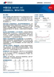 全球能源巨头，看好油气弹性