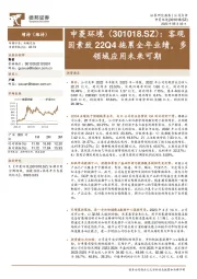 客观因素致22Q4拖累全年业绩，多领域应用未来可期