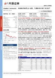 公司信息更新报告：硅烷跌价拖累Q1业绩，气凝胶项目预计H2投产