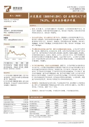 Q1业绩同比下滑74.2%，成长业务稳步开展