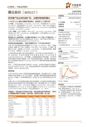 逆变器产品全球加速扩张,业绩持续高速增长