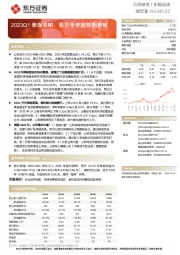 2023Q1表现亮眼，看好全年超预期表现