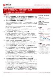 洽洽食品2022年&23Q1业绩点评：23Q1利润稍显承压，期待后续环比改善