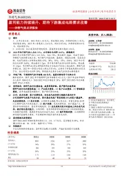 华特气体点评报告:盈利能力持续提升,期待下游集成电路需求改善