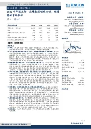 2022年年报点评:业绩表现领跑行业,销售稳健拿地积极