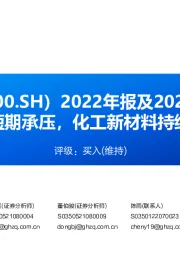 2022年报及2023年一季报点评：业绩短期承压，化工新材料持续提升