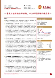 一季度业绩踩稳全年预期,市占率逆势增长稳居第一