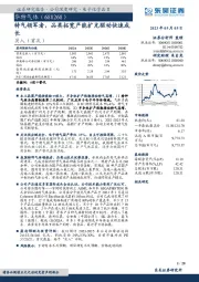 特气领军者，品类拓宽产能扩充驱动快速成长