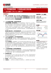 泸州老窖22年&23Q1业绩点评：Q1利润端超预期，中档酒延续优秀表现