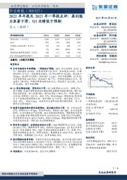 2022年年报及2023年一季报点评：盈利能力显著下滑，Q1业绩低于预期