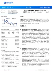 2022年年报及2023年一季报点评：2023Q1业绩大幅增长，移动能源业务积极推进