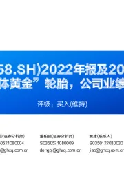 2022年报及2023一季报点评:持续推广“液体黄金”轮胎,公司业绩有望大幅回升