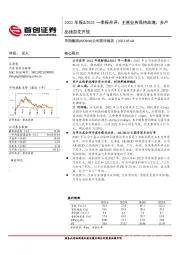2022年报&2023一季报点评:主营业务保持高增,多产品线百花齐放
