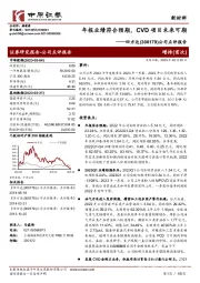 公司点评报告：年报业绩符合预期，CVD项目未来可期