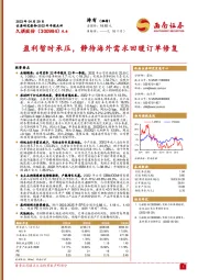 盈利暂时承压,静待海外需求回暖订单修复