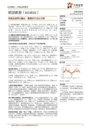 突破品类深化融合,整装时代龙头引领