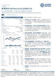 Q1业绩表现亮眼,打造天然气智能生态运营商