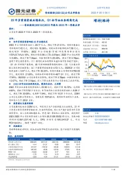 2022年报及2023年一季报点评：22年多重因素致业绩承压，Q1松节油业务剥离完成