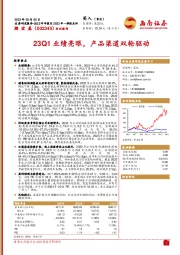 23Q1业绩亮眼，产品渠道双轮驱动