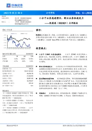 点评报告：小分子业务高速增长，新兴业务快速发力