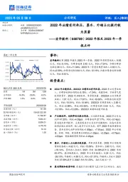 2022年报及2023年一季报点评：2022年业绩有所承压，墨水、外销占比提升较为显著