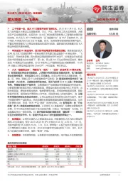 深度报告:星火燎原,一飞冲天