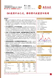 Q4疫情冲击已过，静待替代放量重回高增