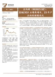 22&23Q1业绩高增长，23年产品结构继续优化