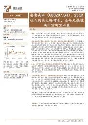 23Q1收入同比大幅增长,全年光热玻璃出货有望放量
