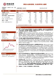 硬镜龙头业绩持续高增,自主新品即将进入放量期
