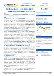 2022年年报及2023年一季报点评：多因素致业绩承压，市场份额持续提升