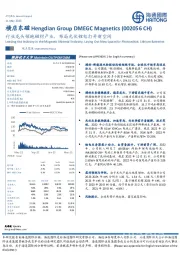 行业龙头领跑磁材产业，布局光伏锂电打开新空间