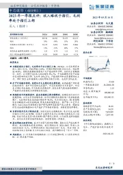 2023年一季报点评：收入略优于指引，毛利率处于指引上部