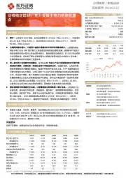 业绩稳定增长，充分受益于电力信息化建设