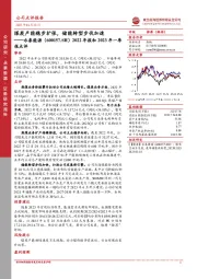 2022年报和2023年一季报点评:煤炭产能稳步扩张,储能转型步伐加速