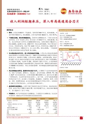 收入利润短期承压，深入布局高速混合芯片