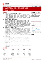 复旦微电首次覆盖报告:FPGA领军企业,多业务线持续高景气发展