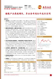 储能产品高速增长，多业务布局打开成长空间