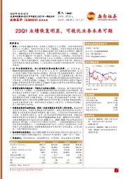 23Q1业绩恢复明显，可视化业务未来可期