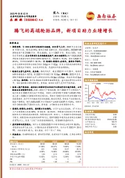 腾飞的高端轮胎品牌,新项目助力业绩增长