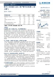 国内工业机器人龙头，国产替代及机器人+助力腾飞