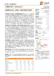 以配售电为支点,加速向一流综合能源平台转型