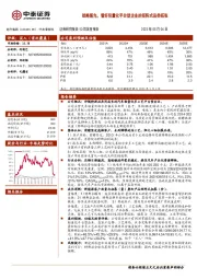 战略领先,看好轻量化平台型企业的矩阵式品类拓张