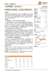 药用辅料龙头优势显著，内外双驱打开新增长空间