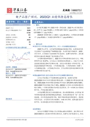 新产品推广顺利，2023Q1业绩保持高增长