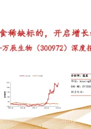 深度报告：量贩零食稀缺标的，开启增长新纪元