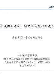 圣泉集团公司深度研究报告：全球合成树脂龙头，钠电池负极打开成长空间