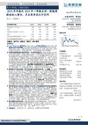 2022年年报及2023年一季报点评：新能源驱动收入增长，多品类布局打开空间